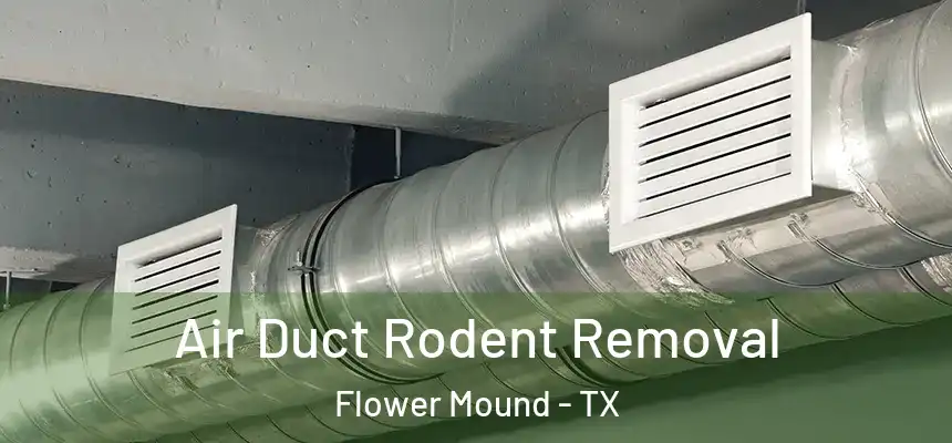  Air Duct Rodent Removal Flower Mound - TX