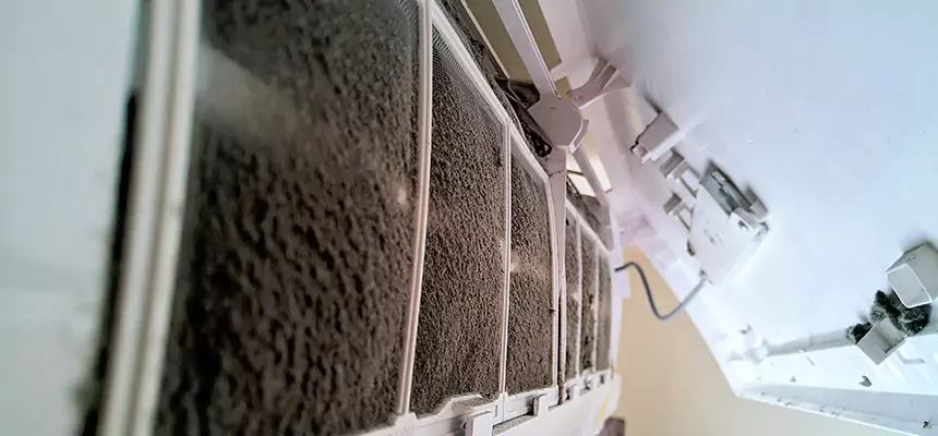 Preventive Air Duct Bacteria Removal in Flower Mound