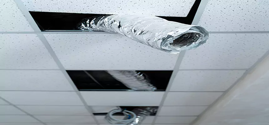 Our Air Duct Pet Hair Removal Services in Flower Mound, TX