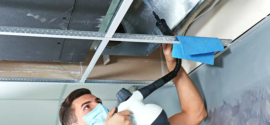 Our Air Duct Rodent Removal Services in Flower Mound, TX