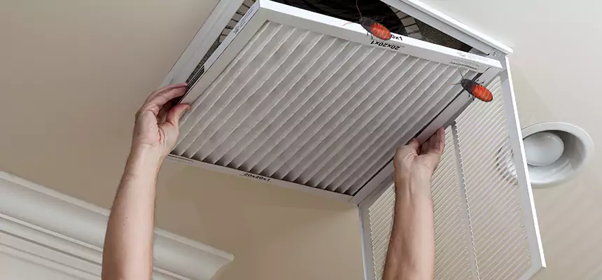 Our Insect Removal from Air Ducts Services in Flower Mound, TX