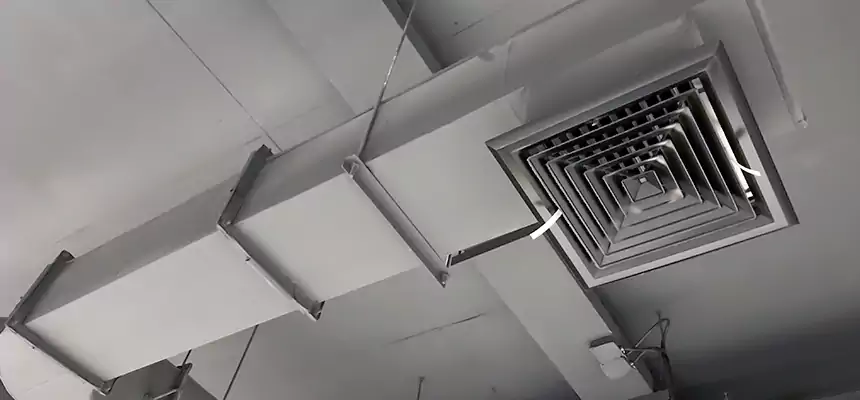 Our Pest Removal From Ducts Services in Flower Mound, TX