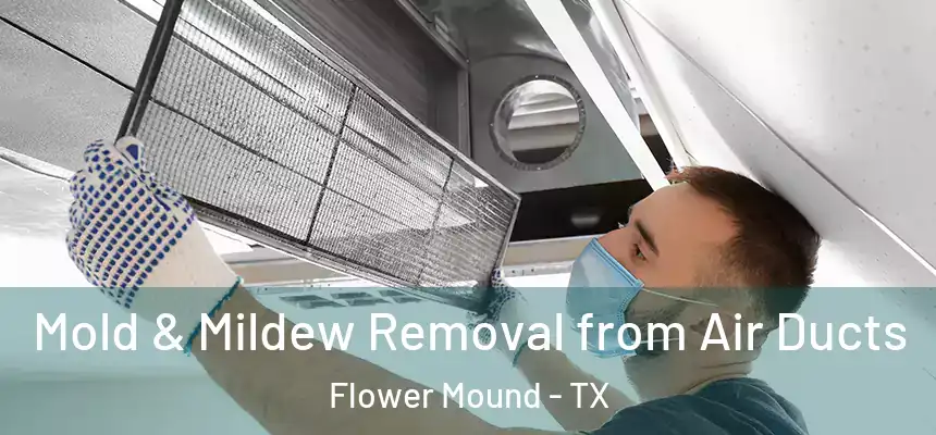 Mold & Mildew Removal from Air Ducts Flower Mound - TX