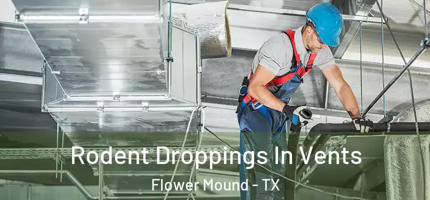 Rodent Droppings In Vents Flower Mound - TX