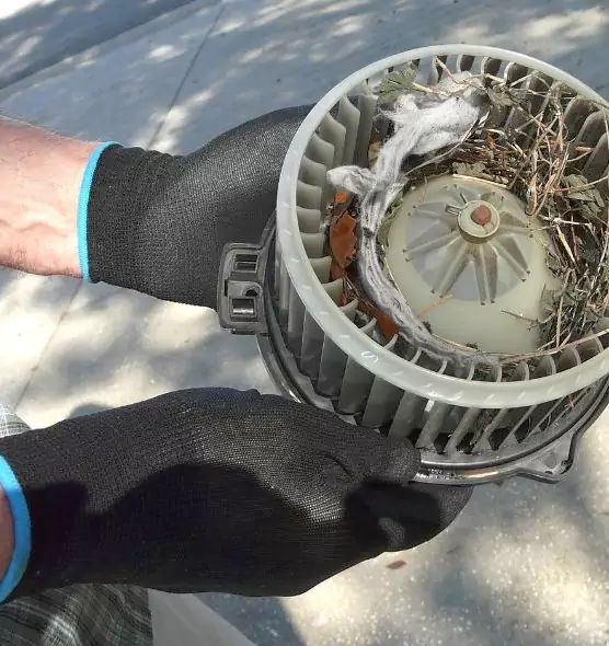 About Air Duct Rat Removal in Flower Mound, TX