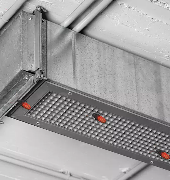 Affordable Insect Removal from Air Ducts in Flower Mound, TX