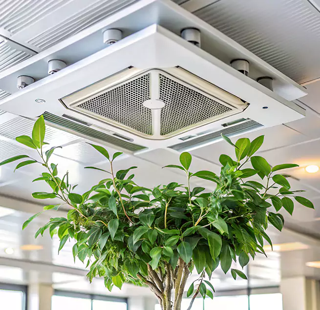 Why Homeowners & Businesses Trust Us in Flower Mound, TX?