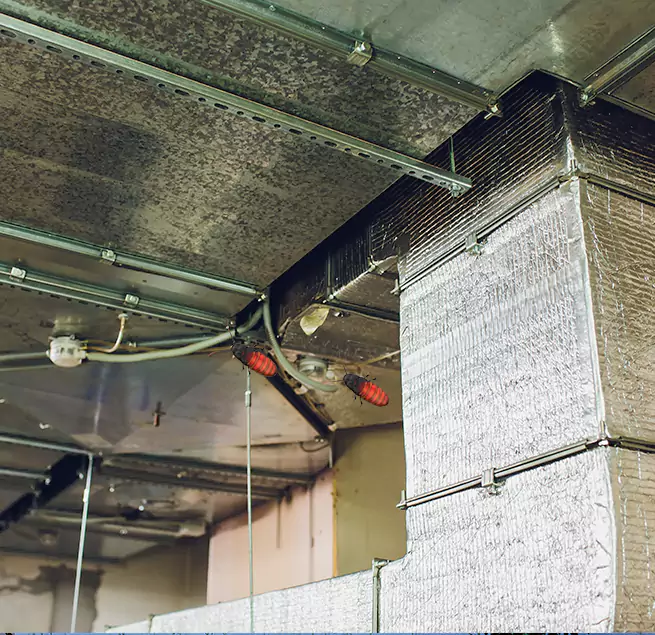 Why Homeowners & Businesses Trust Us Flower Mound, TX?