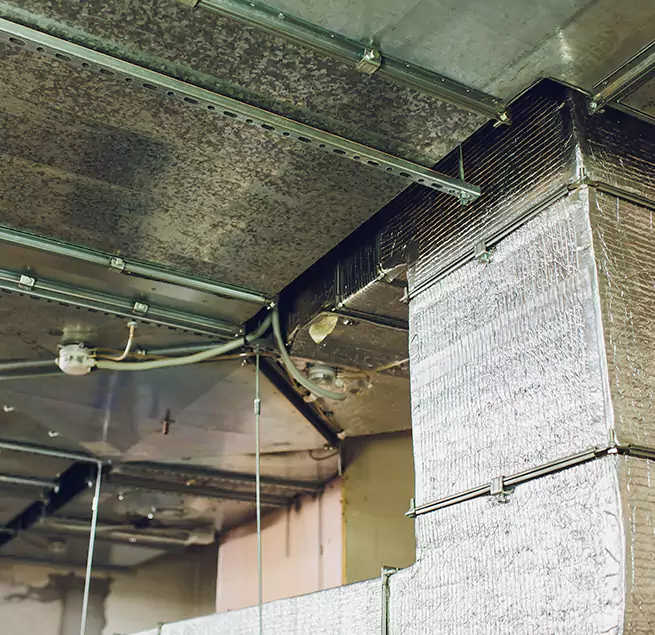 Why Homeowners & Businesses Trust Us in Flower Mound, TX?